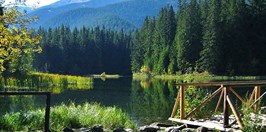 Vrbické Pleso
