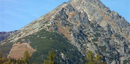 Solisko