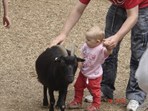 ZOO Ostrava - Hroch obojživelný